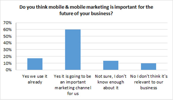 mobile marketing importance