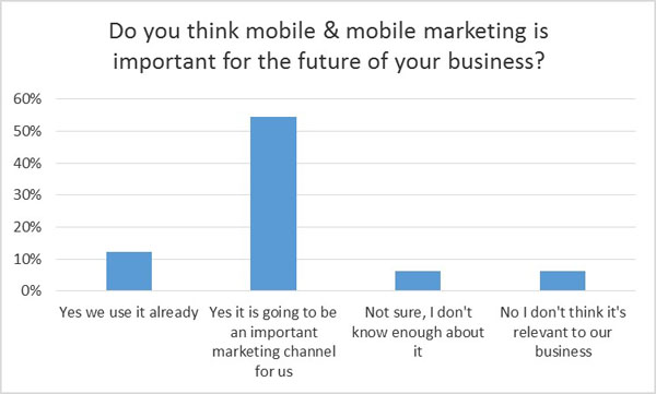 Importance of mobile marketing