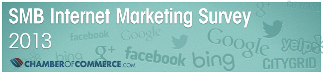 2013 SMB Internet Marketing Survey