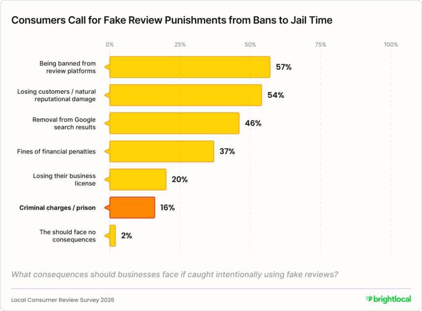 Fake Review Consequences