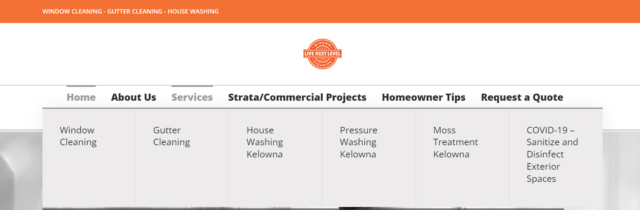 Next Level Window Cleaning Content Silos Example