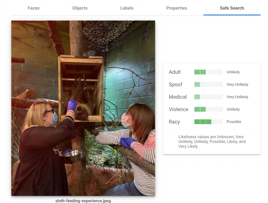 Safe Search Image Detection
